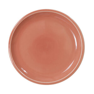 Terracotta Earth Bistro Plate
