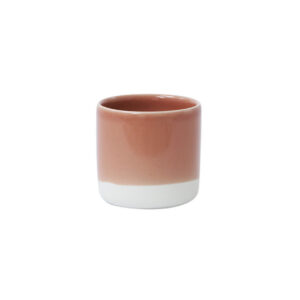 Minimalist Terracotta Tumbler