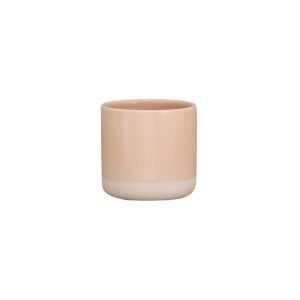 Everyday Blush Pink Tumbler